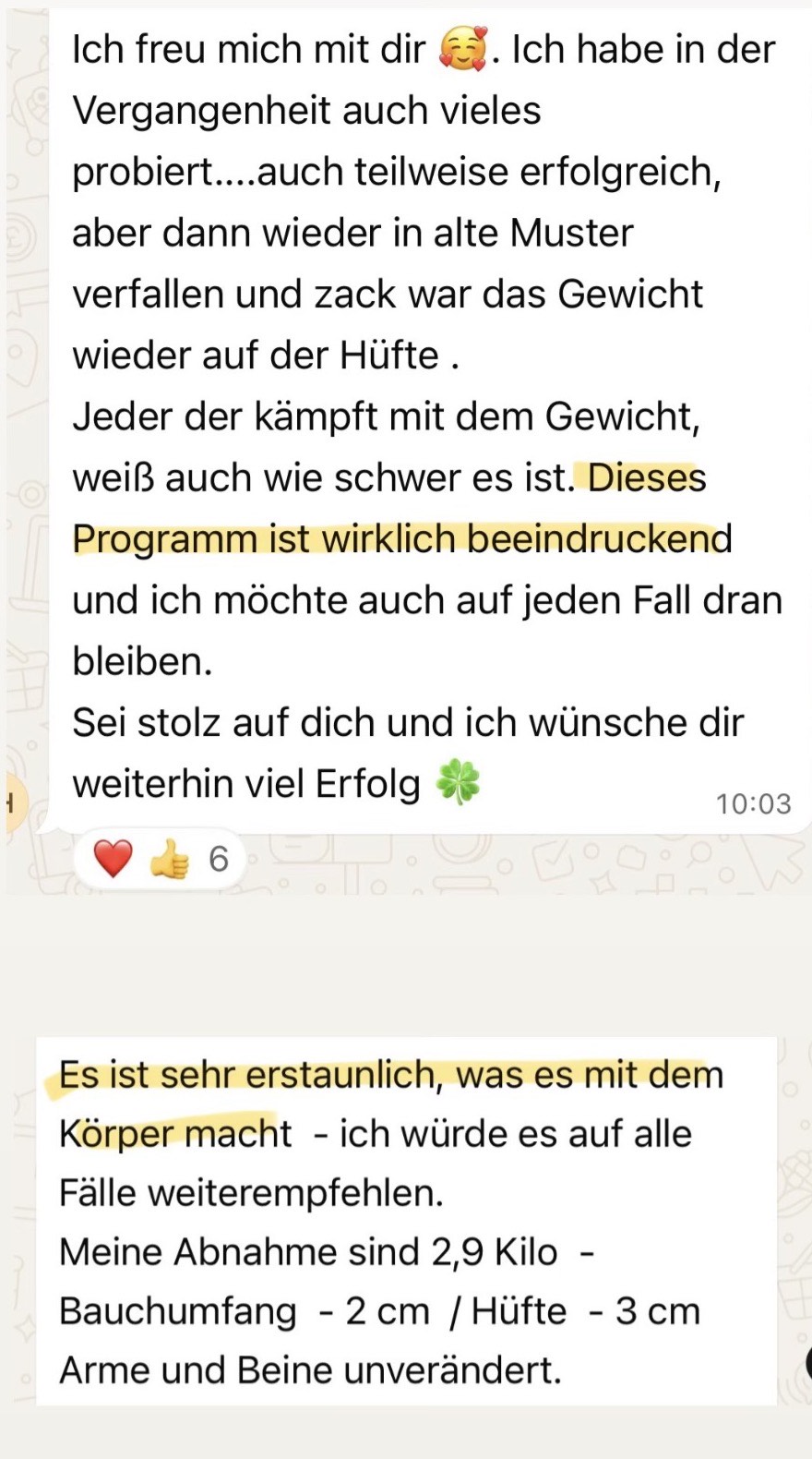 Zwei WhatsApp-Nachrichten: Eine Teilnehmerin beschreibt, wie sie früher nach Erfolgen wieder in alte Muster verfiel, und nennt das Programm wirklich beeindruckend. Eine zweite berichtet minus 2,9 Kilo, Bauchumfang minus 2 cm und Hüfte minus 3 cm.